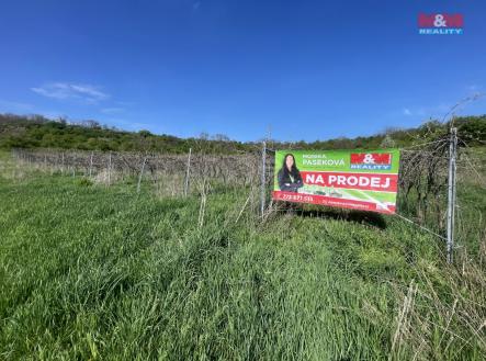 IMG_9397.jpeg | Prodej - pozemek, zemědělská půda, 9 215 m²