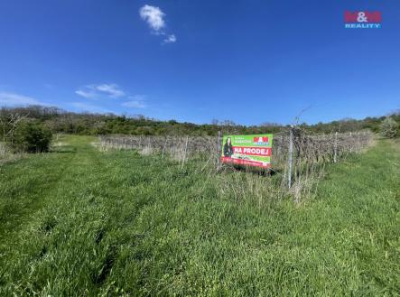 IMG_9383.jpeg | Prodej - pozemek, zemědělská půda, 9 215 m²