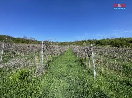 IMG_9395.jpeg | Prodej - pozemek, zemědělská půda, 9 215 m²