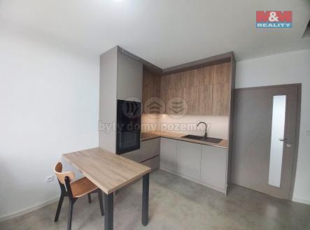 1111111.jpg | Pronájem bytu, 2+kk, 55 m²