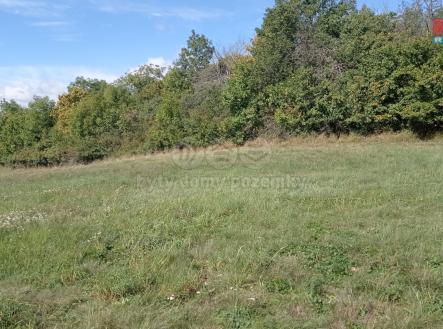 1695732257206.jpg | Prodej - pozemek, trvalý travní porost, 13 227 m²