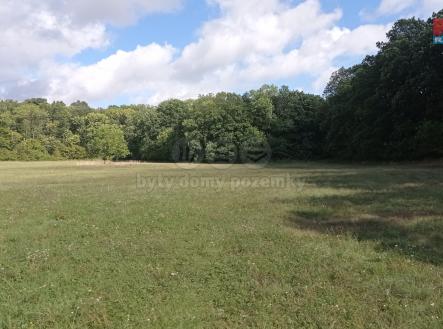 1695732257105.jpg | Prodej - pozemek, trvalý travní porost, 16 692 m²
