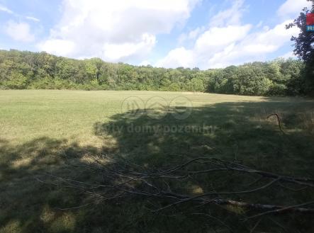 1695732257123.jpg | Prodej - pozemek, trvalý travní porost, 16 692 m²