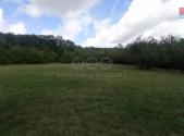 Prodej - pozemek, trvalý travní porost, 12 373 m²