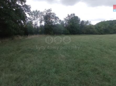 1695732256943.jpg | Prodej - pozemek, trvalý travní porost, 12 373 m²