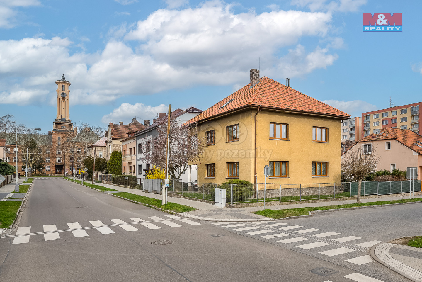 20250402-DSC_3462-Edit.jpg