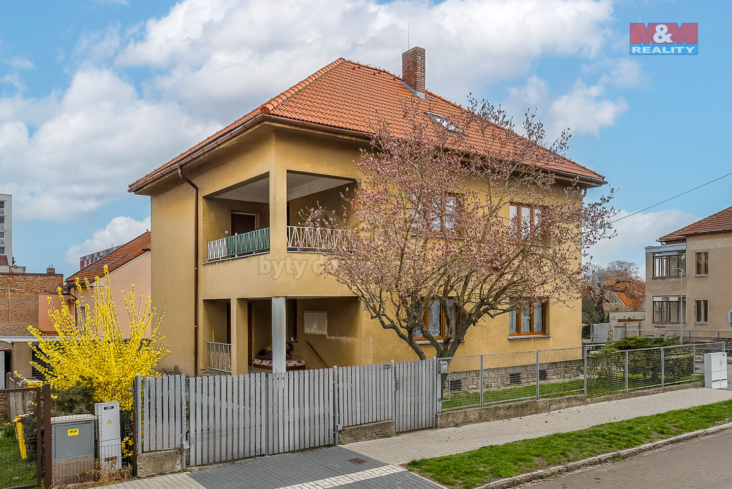 20250402-DSC_3468-Edit.jpg