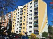 Pronájem bytu, 1+1, 42 m²