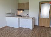 Pronájem bytu, 1+1, 42 m²