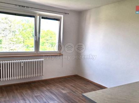 viber_image_2025-06-04_09-42-17-846.jpg | Pronájem bytu, 1+1, 42 m²