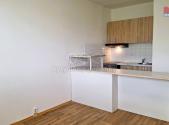 Pronájem bytu, 1+1, 42 m²