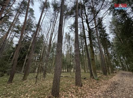 IMG_0514.jpeg | Prodej - pozemek, les, 6 794 m²