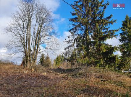 20220103_105651.jpg | Prodej - pozemek pro bydlení, 1 156 m²