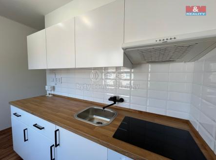 d34728eb-9aa1-49d9-a2d9-8ba1eb31a340 2.jpg | Pronájem bytu, 2+1, 55 m²