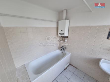 20250422_093807.jpg | Pronájem bytu, 1+1, 60 m²