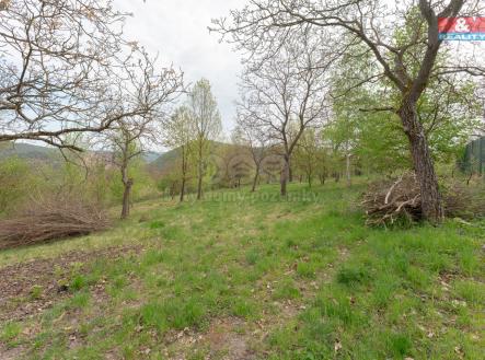 Fotografie-6 (2).jpg | Prodej - pozemek, zemědělská půda, 3 977 m²
