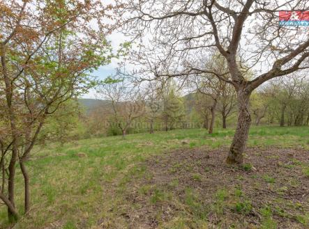 Fotografie-8 (2).jpg | Prodej - pozemek, zemědělská půda, 3 977 m²