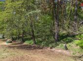 Prodej - pozemek, zahrada, 487 m²