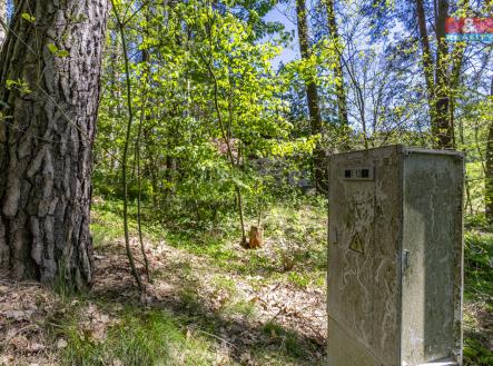 pohled na pozemek | Prodej - pozemek, zahrada, 487 m²