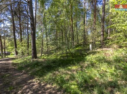 pohled na pozemek | Prodej - pozemek, zahrada, 487 m²