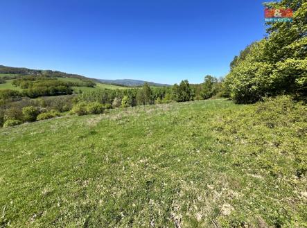pozemky | Prodej - pozemek, trvalý travní porost, 21 830 m²