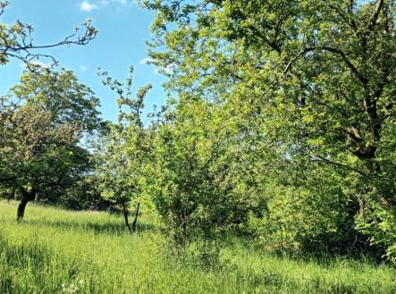 IMG-20250515-WA0024.jpg | Prodej - pozemek, zemědělská půda, 912 m²