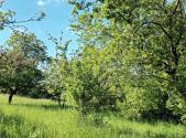 Prodej - pozemek, zemědělská půda, 912 m²
