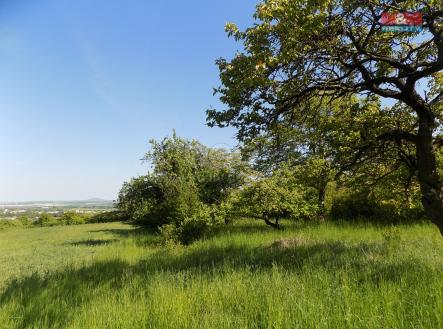 DSCN3063.jpg | Prodej - pozemek, zemědělská půda, 912 m²