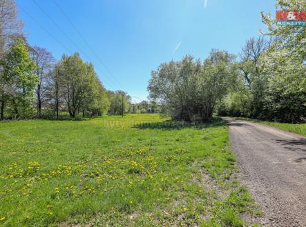 1S3A2577.jpg | Prodej - pozemek, trvalý travní porost, 4 590 m²