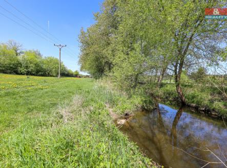 1S3A2579.jpg | Prodej - pozemek, trvalý travní porost, 4 590 m²