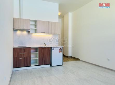 IMG_6969.jpg | Pronájem bytu, 1+kk, 24 m²