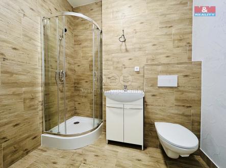 IMG_6951.jpg | Pronájem bytu, 1+kk, 24 m²