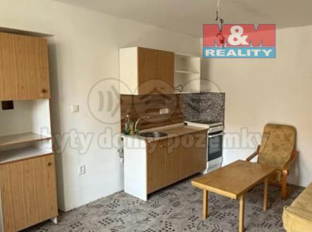 96c530dc-9ffb-4f87-81ae-cc502457a037.jpg | Pronájem bytu, 2+kk, 50 m²