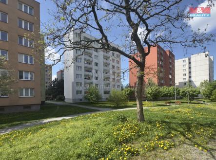 IMG_3423.jpg | Prodej bytu, 3+1, 70 m²