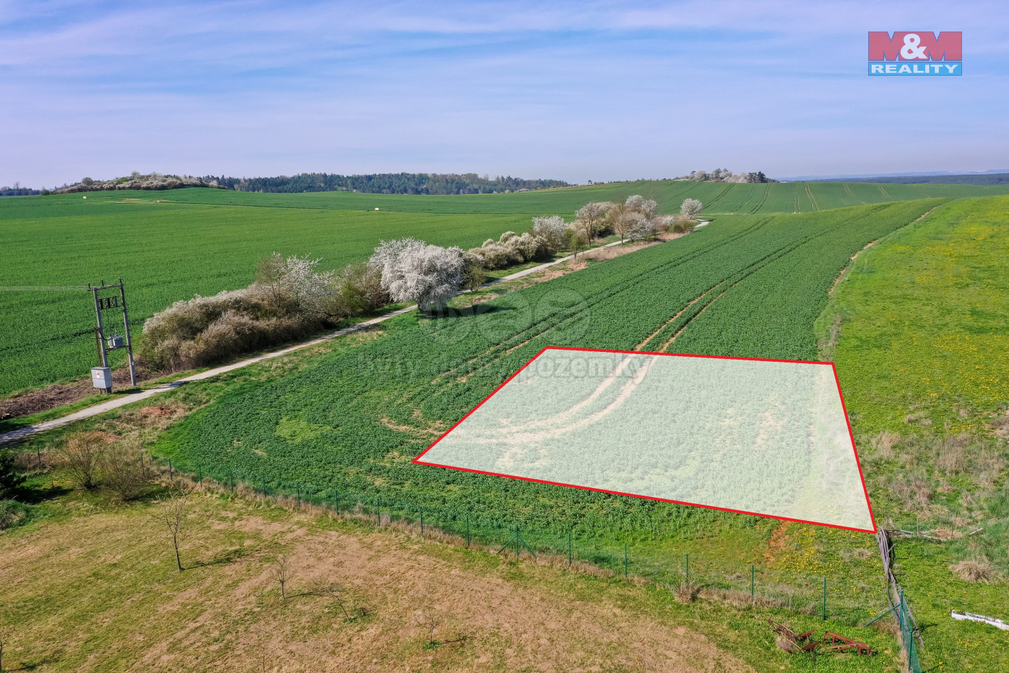 DJI_0595.jpg