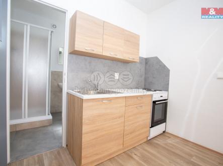 91431d79-b5bd-4c00-a29c-176bba0a83d7.jpg | Pronájem bytu, 1+kk, 24 m²