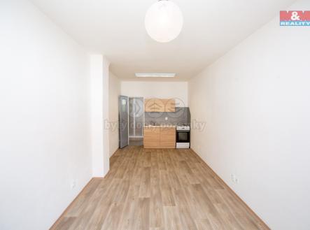 2c58ba6c-db01-452d-b93d-59e23032e0a7.jpg | Pronájem bytu, 1+kk, 24 m²