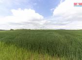 Prodej - pozemek, zemědělská půda, 10 902 m²