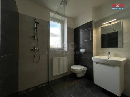 IMG_6923.jpg | Pronájem bytu, 1+kk, 40 m²