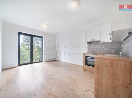 1 (2).jpg | Pronájem bytu, 1+kk, 32 m²