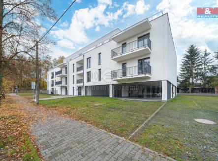 1 (1).jpg | Pronájem bytu, 1+kk, 32 m²