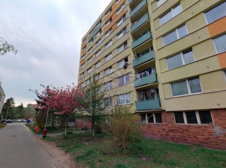 Pohled na dům | Pronájem bytu, 1+1, 43 m²