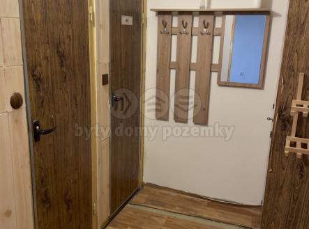 IMG_0975.jpg | Pronájem bytu, 1+1, 43 m²