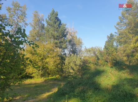 20240922_160826.jpg | Prodej - pozemek, zahrada, 1 898 m²