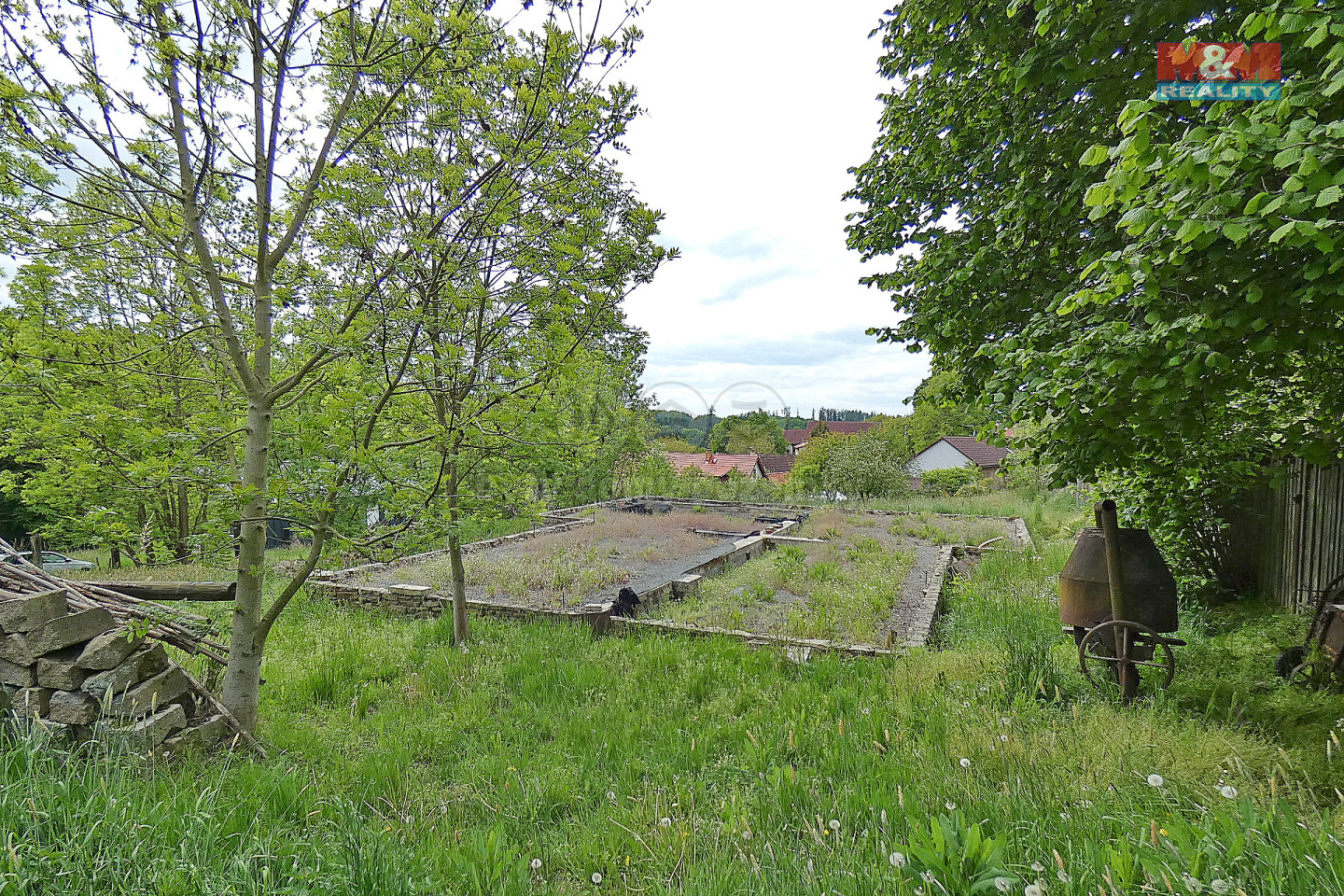 P1180334.jpg