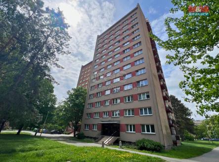 Návrh bez názvu - 2025-05-12T122252.060.jpg | Pronájem bytu, 1+kk, 28 m²