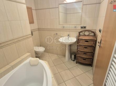 20250509_174702.jpg | Pronájem bytu, 1+kk, 43 m²