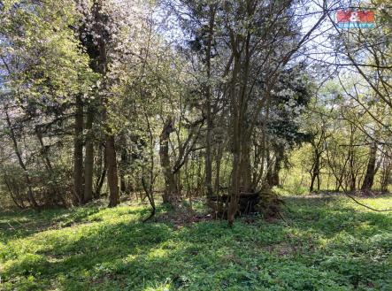IMG_0889.jpg | Prodej - chata/rekreační objekt, 16 m²