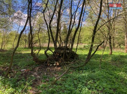 IMG_0891.jpg | Prodej - chata/rekreační objekt, 16 m²