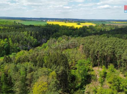 dji_fly_20250507_122736_427_1746614014495_photo_optimized.jpeg | Prodej - pozemek, les, 79 857 m²